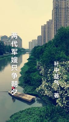 两代军嫂的感情故事